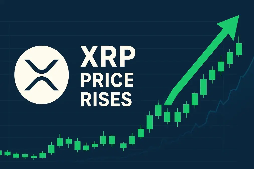 XRP Price Rises