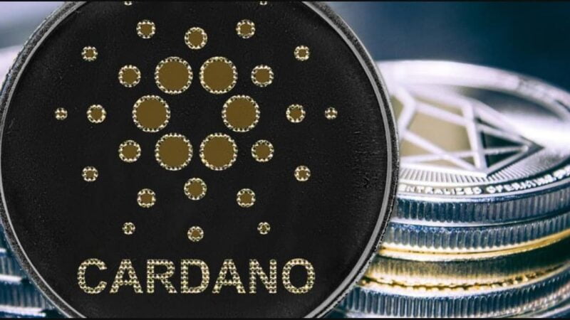 Alcohol manufacturing company Strait Brands leverages Cardano blockchain to verify supply chain