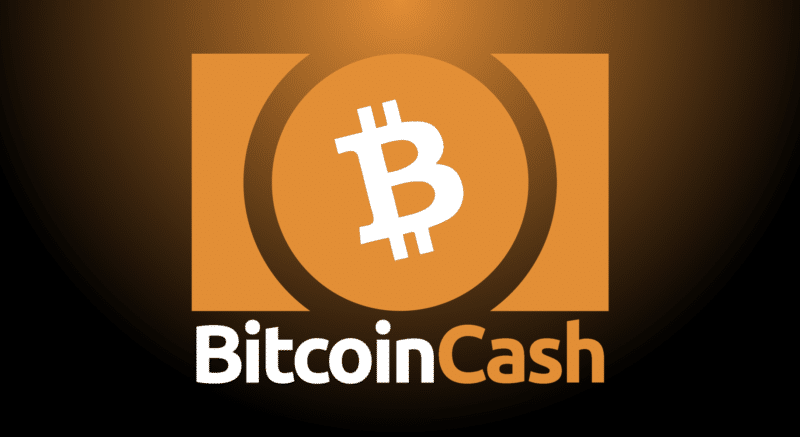 Bitcoin Cash Becomes Crypto #1 – Kim Dotcom