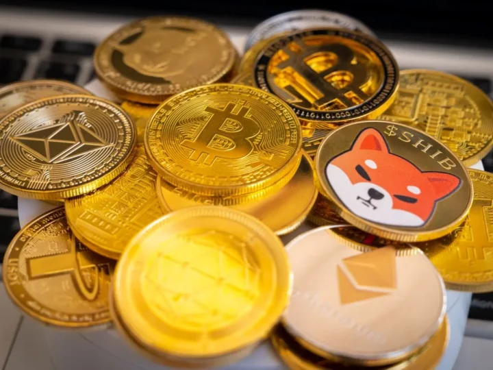 Exploring the Diverse Types of Cryptocurrency